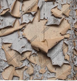 Photo Textures of Wall Plaster